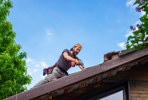 Best Emergency Roof Repair Services  in Northwest Harwich, MA